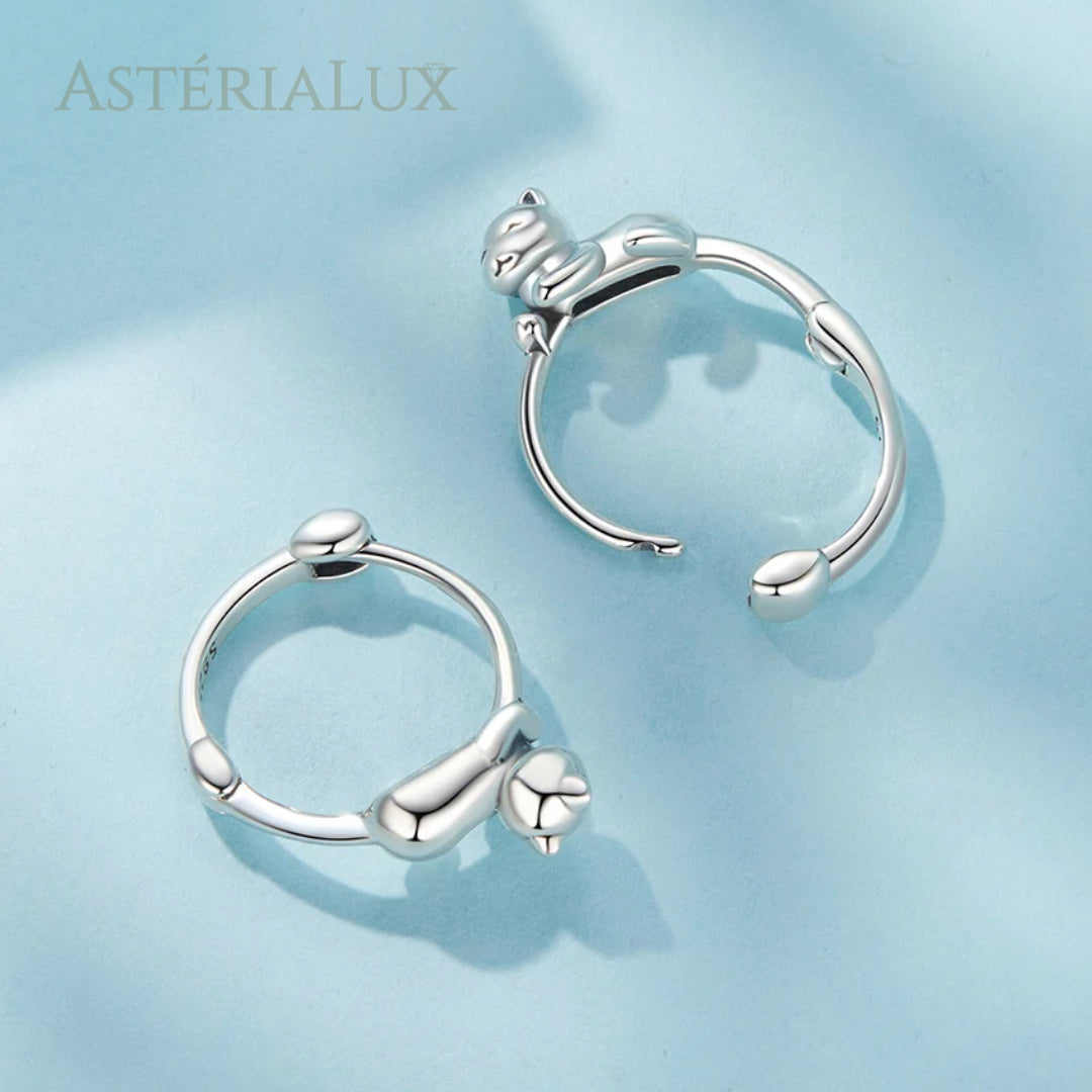 Brincos Abraço de Gato em Prata 925