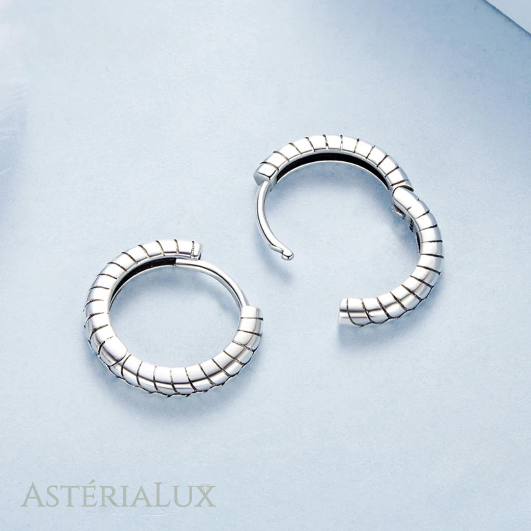 Brincos Textura de Luxo em Prata 925