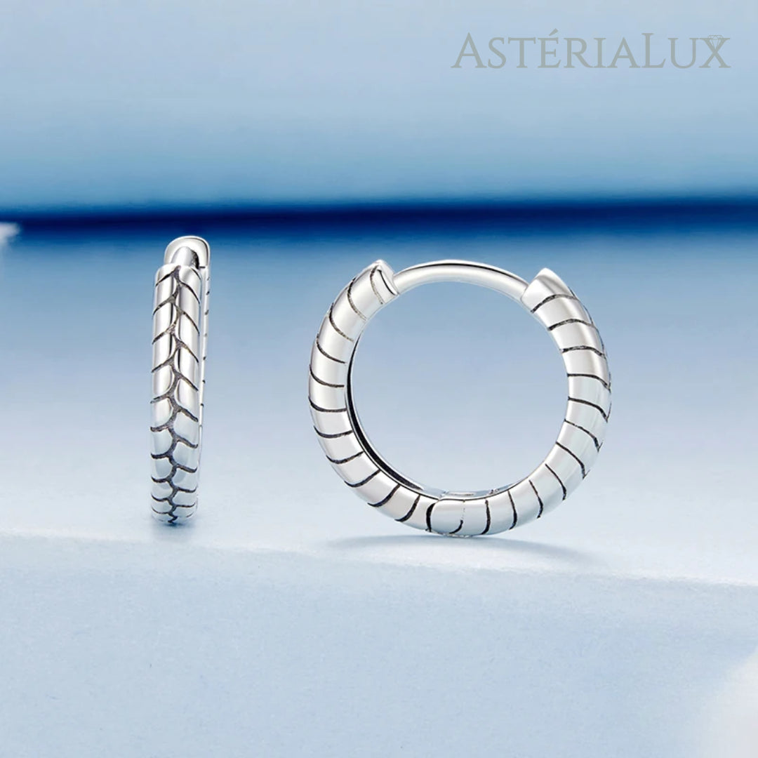 Brincos Textura de Luxo em Prata 925