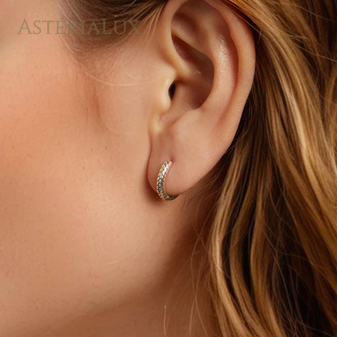 Brincos Textura de Luxo em Prata 925