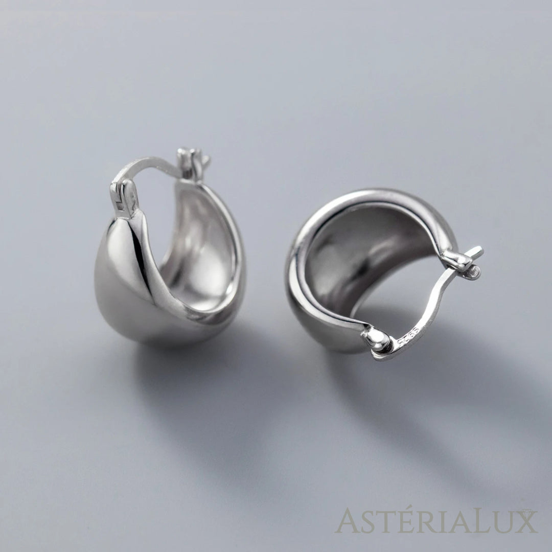 Brincos de Argola em Prata 925 com Banho de Platina