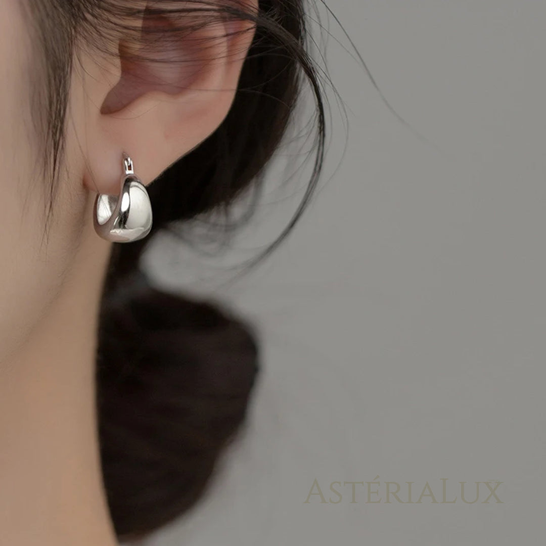 Brincos de Argola em Prata 925 com Banho de Platina