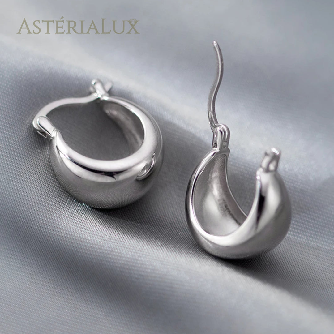 Brincos de Argola em Prata 925 com Banho de Platina