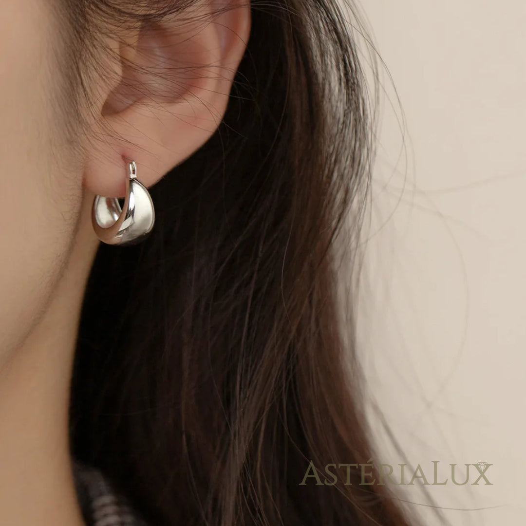 Brincos de Argola em Prata 925 com Banho de Platina